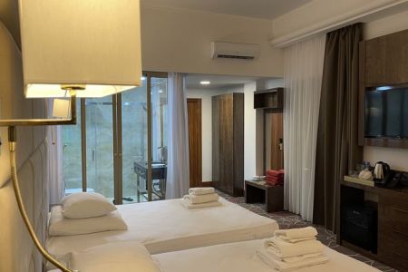 Делюкс 2-местный (с 3 французскими балконами) угловой /вид на город