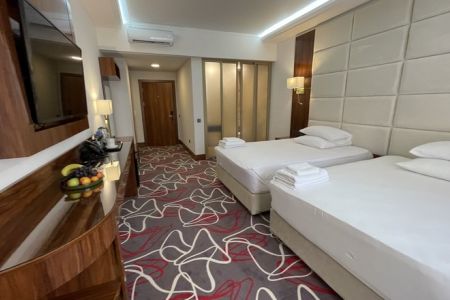 Комфорт 2-местный (с французским балконом) /вид на город, горы