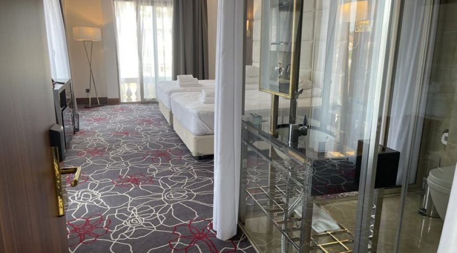 Делюкс 2-местный (с 3 французскими балконами) угловой /вид на город